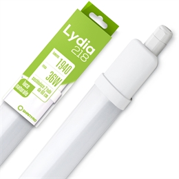 PLAFONIERE TUBI INTEGRATA LYDIA  20W 4000K 30 PZ