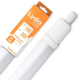 PLAFONIERE TUBI INTEGRATA LYDIA - 20W 3000K 30 PZ