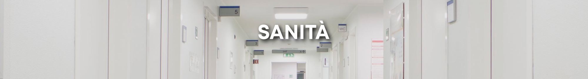 sanit-2